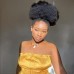 Afro Kinky Curly 360 Lace Frontal Wig Afro Human Hair Wig for Black Women